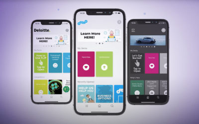 Get to Know FLIP a Little Better